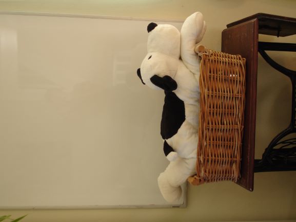 Das Bild konnte nicht geladen werden! Versuche die Seite erneut aufzurufen. Sollte das Problem weiterhin besten, kontaktiere bitte den Inhaber.